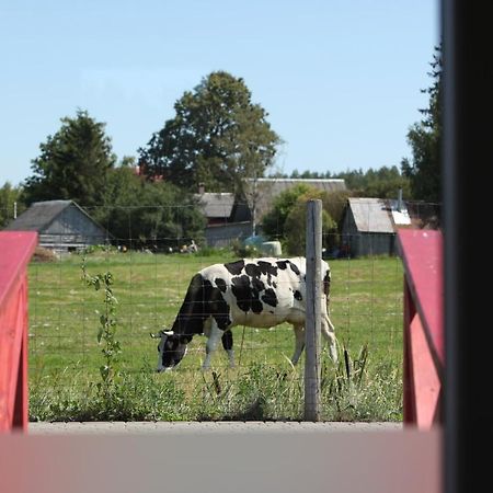 Karpu Dikis-Kempings Viesites Jaunmarupe Bagian luar foto